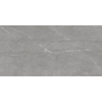 Laparet Savoy тёмно-серый 08-01-06-2460 Плитка 20х40