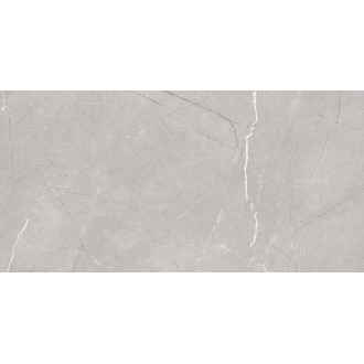 Larice Grey 60x120