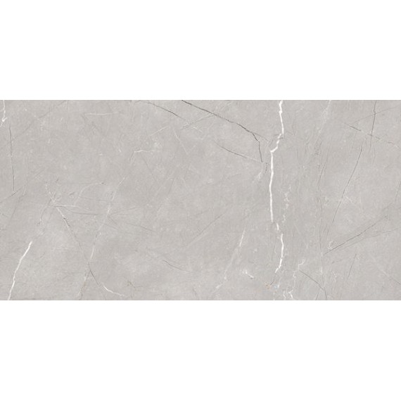 Керамогранит Larice Grey 60x120