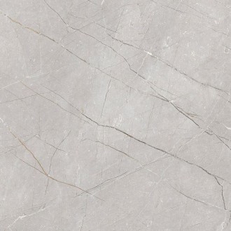 Larice Grey 60x60
