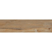 Leccio Classico 10x40