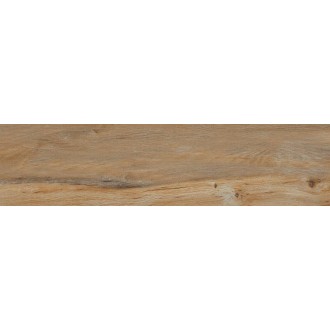 Leccio Classico 10x40