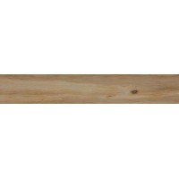 Leccio Classico Ret 20x120