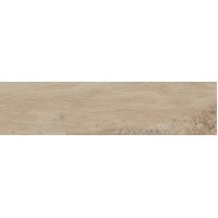 Leccio Gentile 10x40