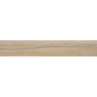 Leccio Gentile Ret 20x120