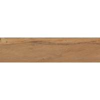 Leccio Oliato 10x40