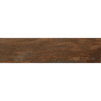 Leccio Verniciato 10x40