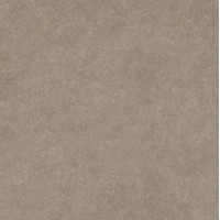 Light Stone Taupe 60x60
