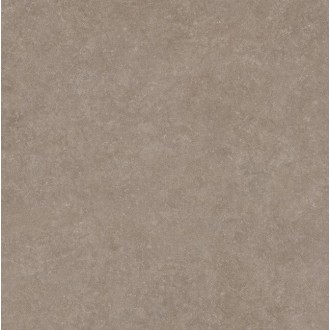 Light Stone Taupe 60x60