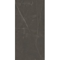Linearstone Brown 59.8x119.8