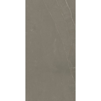 Linearstone Taupe 59.8x119.8