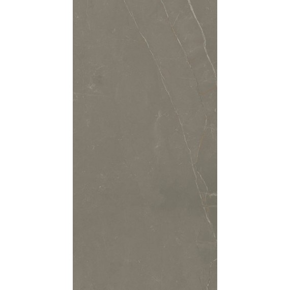 Керамогранит Linearstone Taupe 59.8x119.8