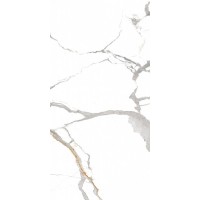Lioz Statuario Polished 60x120