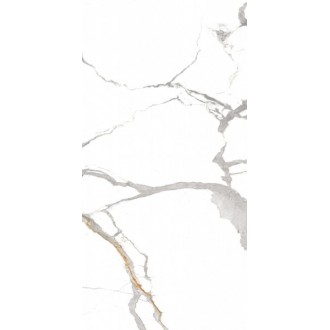 Lioz Statuario Polished 60x120