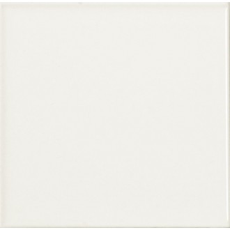 Liso Blanco Brillo 10х10