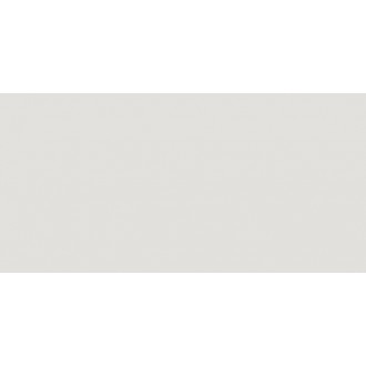 Liso Blanco Brillo 10х20