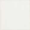 Liso Blanco Mate 10х10