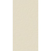 Logan BONE 60x120