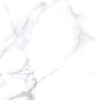 Luxury Calacatta Matt Carving 60x60