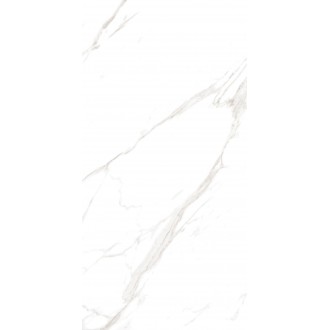 M4401P Керамогранит Carrara Livia Glossy 60x120
