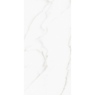 M4408P Керамогранит Omega Exotica Glossy 60x120