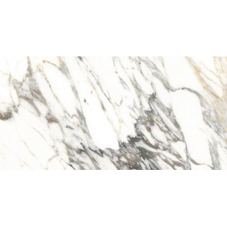 MACCHIA VECCHIA NT/60X120/R 60x120