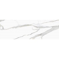 MARVEL STATUARIO Polished 240x80