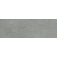 MAS361530 ASTER MERCURY SEMILUCIDATO 300x100