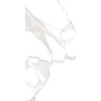 MFV30F35110G Veneto White Full Lappato 59,5x119