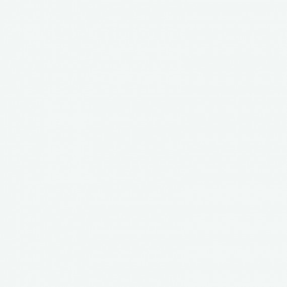 Керамическая плитка MJ1V Citta Bianco Pav. 20*20