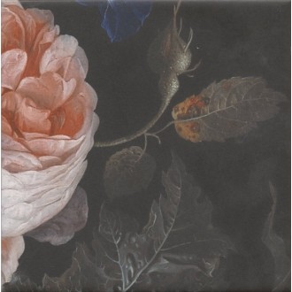 MLD/A108/5009 Плитка Парк Роз 20x20