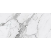 MN01 Montis полированный 30x60x1.0