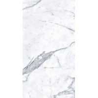 MN031AP261206 Staturio Venatino Polished 6mm 120x260