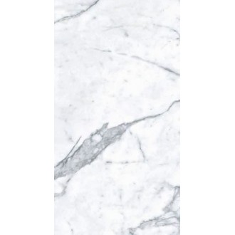 MN031AP261206 Staturio Venatino Polished 6mm 120x260