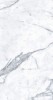 MN031AP261206 Staturio Venatino Polished 6mm 120x260