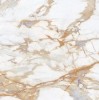 MN034AP261206 Calacatta Gold Polished 6mm 120x120