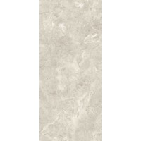 MN226AP261206 Platinum Leica Polished 6 mm 120x260