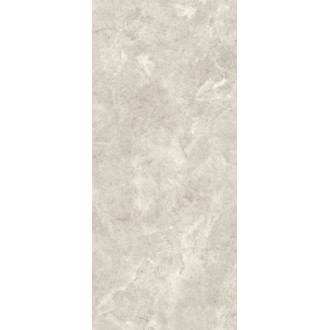 MN226AP261206 Platinum Leica Polished 6 mm 120x260