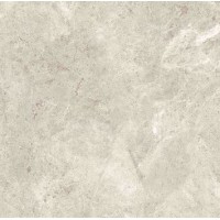 MN226AY121206 Platinum Leica Matt 6 mm 120x120