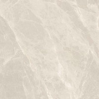 MN262AP271206 Van Gogh Grey Polished 6mm 120x120