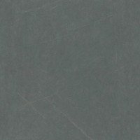 MN287CP261206 Bulgaria Medium Grey Polished 6 mm 120x120
