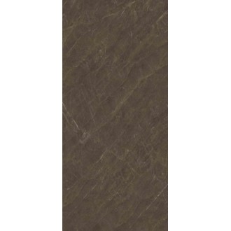 MN313CP261206 Pisa Grey Polished 6 mm 120x260