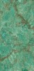 MN688CP321606 Amazon Green Polished 160x320
