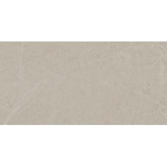 MOG202 Marble Grey полированный 60x120x9