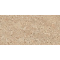 MOGXL3002 Marble Beige полированный 80x160x9