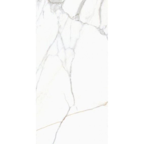 Керамогранит MPL-058741 CRV-3140 carving 60х120