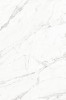 MPL-058762 Statuario Presto posh white 120х180