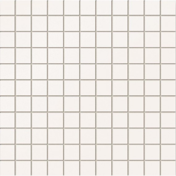 Мозаика MS-WHITE 30x30