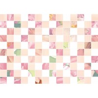 MS2M451DT Melissa многоцветный 25х35