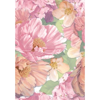 MS2M452DT Melissa многоцветный 50х35